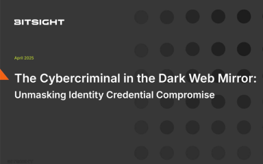 The Cybercriminal in the Dark Web Mirror: Unmasking Identity Credential Compromise